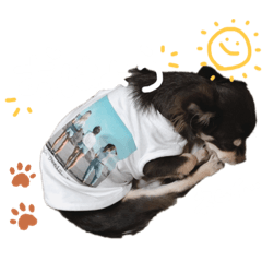 saori_20191208155556