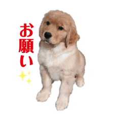 SAYA_20191208150128