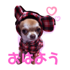 HANA_20191208171609