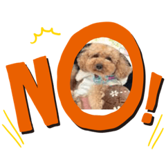 yukari_20191208183037