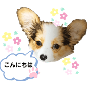 Yotsu_20191208200042