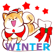 atachitachi Shiba Inu Winter