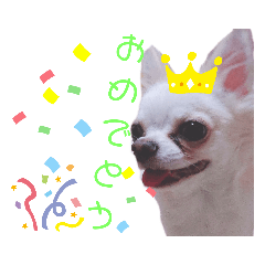 chi_20191208215011