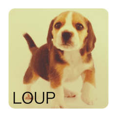 I am Loup