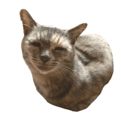 Nanana_20191208231029