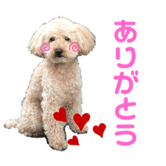 sumire_20191208234004