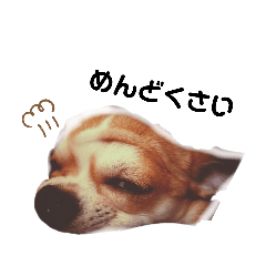 natsumi_20191208220052