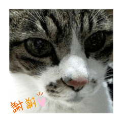 Ayumi_20191209031240