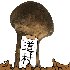 松茸研究家道村さんのマツタケ