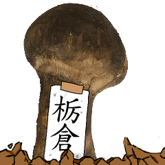 松茸研究家栃倉さんのマツタケ