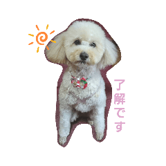 nagisa_20191209170221