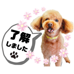 akiko_20191209094126