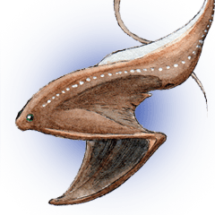 Realistic Deep-sea Creatures