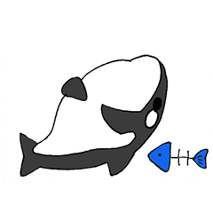 plump orca