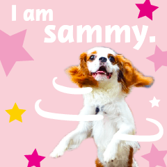 I am sammy.