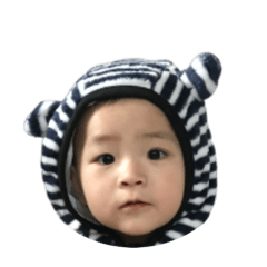 棠棠表情包（part1)