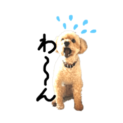 Saori_20191210123952