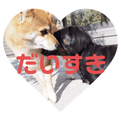hana_20191210123149