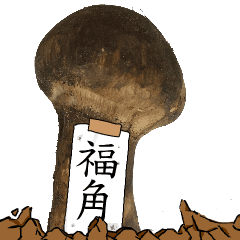 松茸研究家福角さんのマツタケ