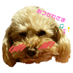 chie_20191210