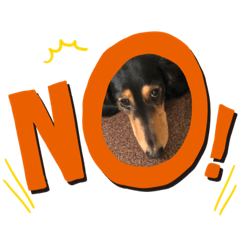 akiko_20191210144640