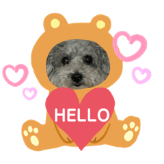 miyuu_20191210165208