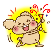 Putaro the Poodle J