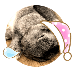 Aluvoil_20191210193501