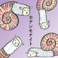 Sheep ammonite