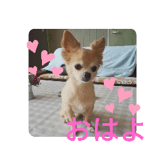 Aoi_20191210213949