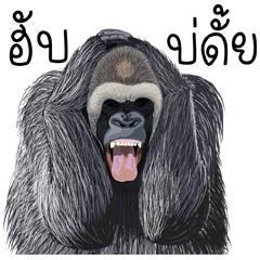 Hilarious animals _ Esarn Language