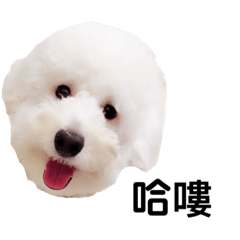 小帕比1
