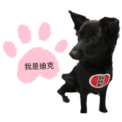迪克表情包