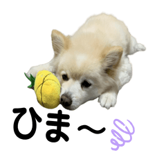 The world's best pet dog Watame sticker