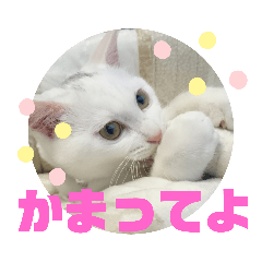 Asuka_20191211110505