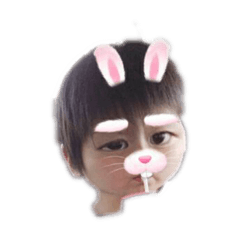 cherry_20191211121859