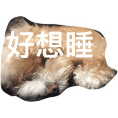 小朋友的圖