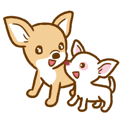 Chihuahua's Lulu & Kiki