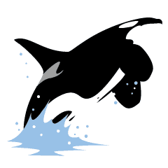 Orcas All Over Line Stickers Line Store