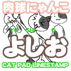 cat pad yoshio