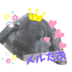 macaron_20191123223740