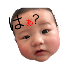 hikari_20191119121147