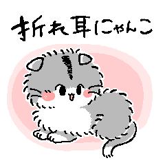 Kitten Coron Daily conversation2