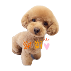 Risa_20191211200859