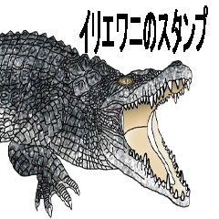 Saltwater crocodile Sticker