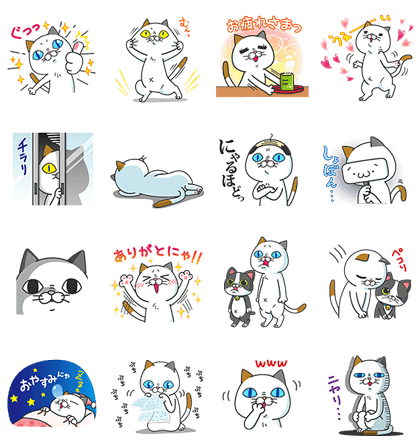 Yoshiko Tamagawa: 13th Free Set!