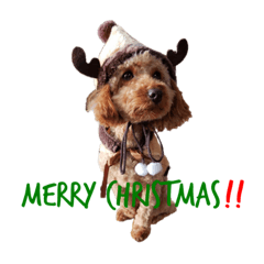 yukari_20191123175054