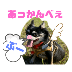 shizu_20191123154944
