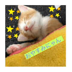 kumi0714_20191123210652