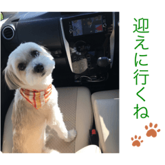 risa_20191211121822